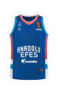 Anadolu Efes 24/25 Mavi Yeni Sezon Forma 0779 