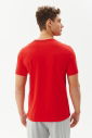 Erkek Kırmızı Bisiklet Yaka %100 Pamuk Basic Günlük ve Spor Tişört 8766 - 3