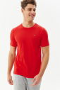 Erkek Kırmızı Bisiklet Yaka %100 Pamuk Basic Günlük ve Spor Tişört 8766 - 5